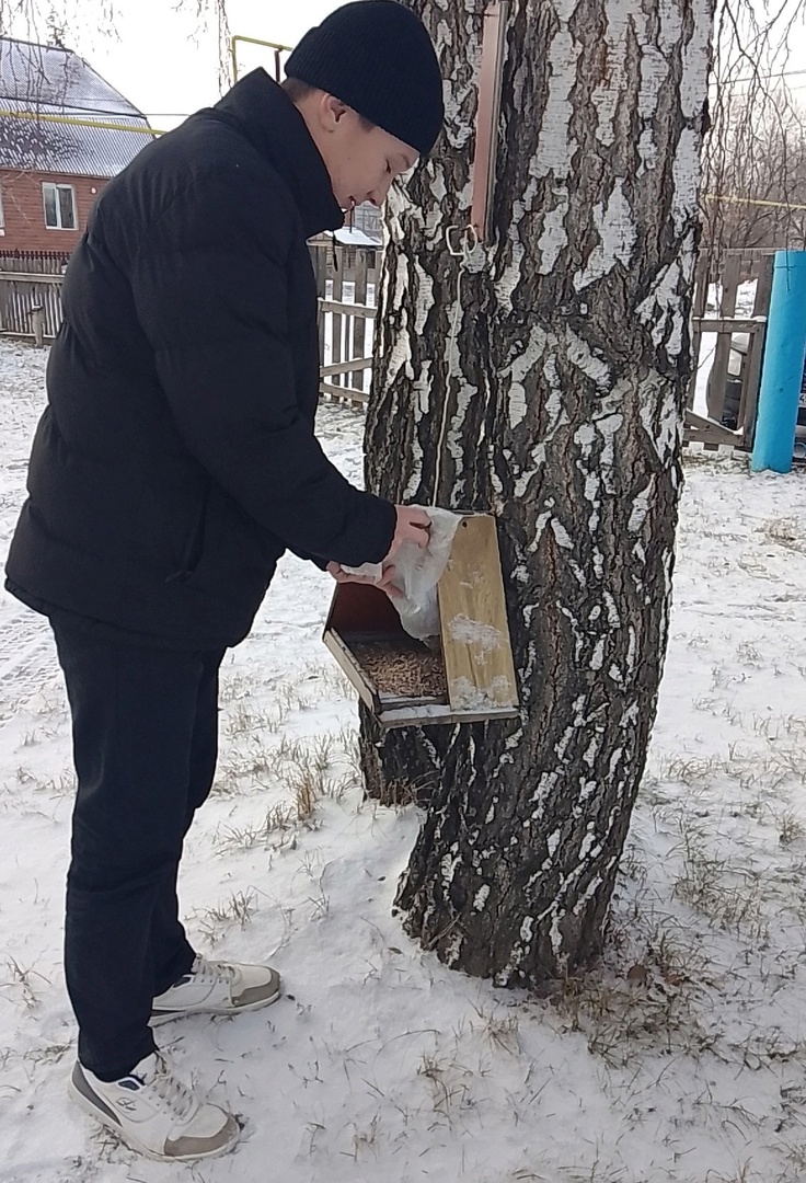 Покормите птиц зимой.